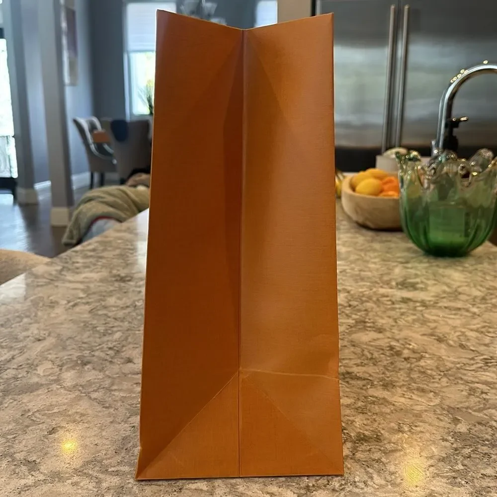 🧡 Louis Vuitton Large Orange Shopping Bag – 15.75” x 13.5” x 6.5”